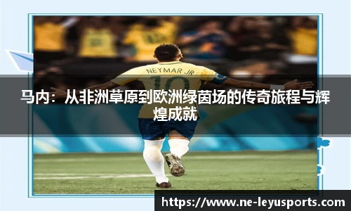 乐鱼体育官网